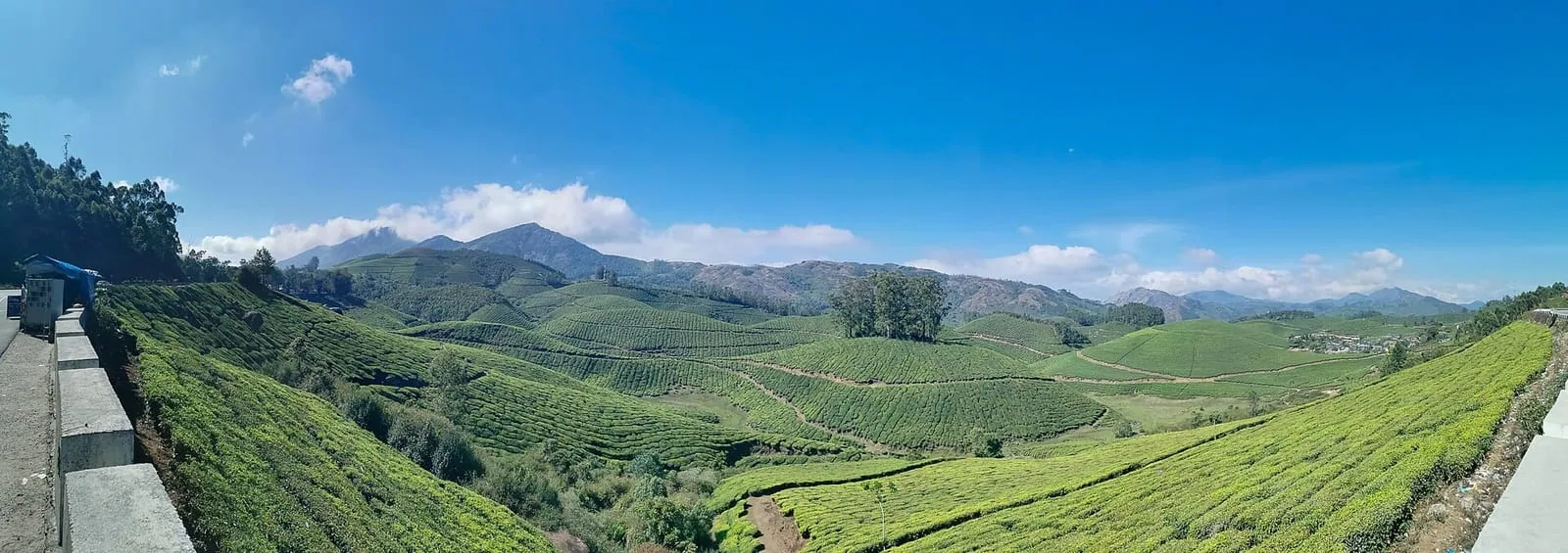 Munnar tea hills