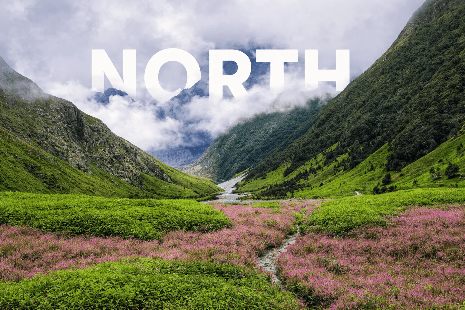 North